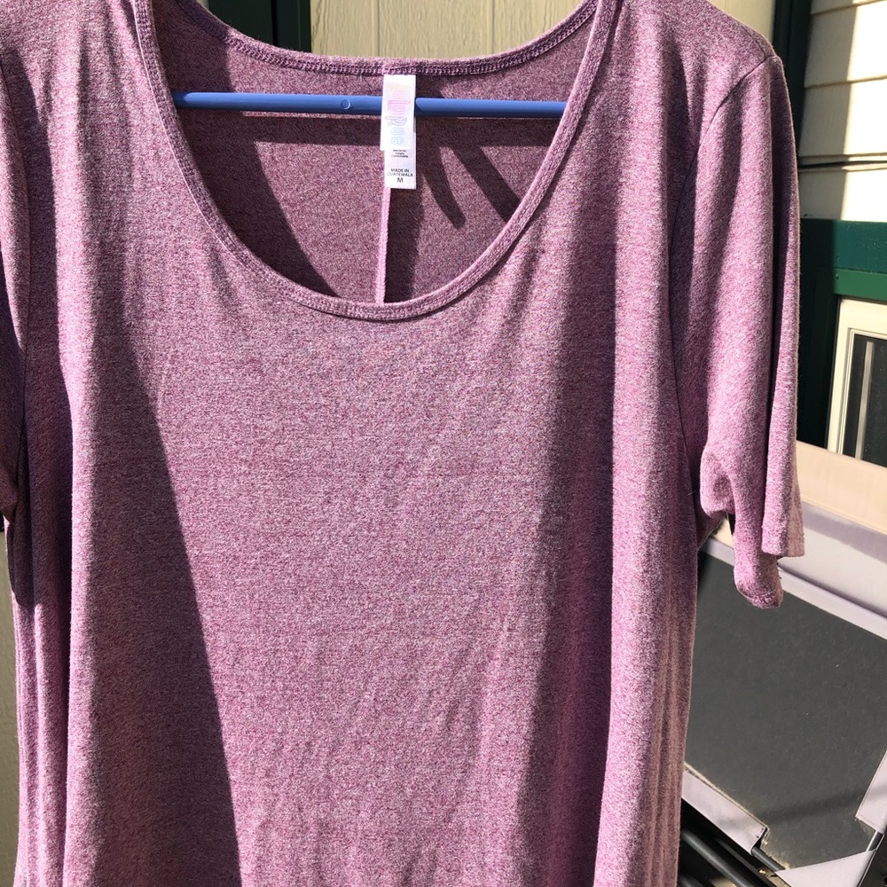 LulaRoe Maxi skirt, matching medium rose Irma